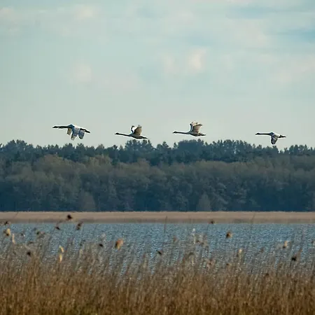 Przytulny Nad Morzem * 로비