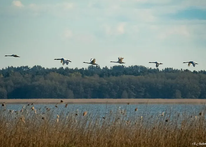 Przytulny Nad Morzem * Rowy (Pomerania)